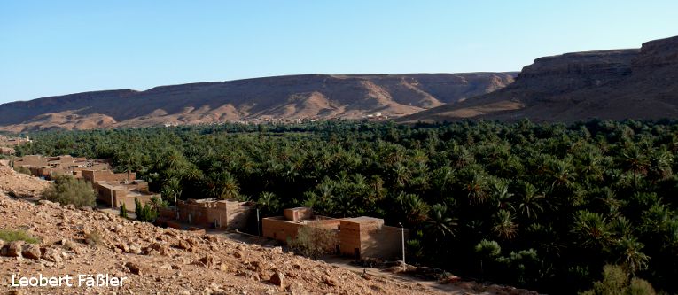 Marokko_2009_1_986a