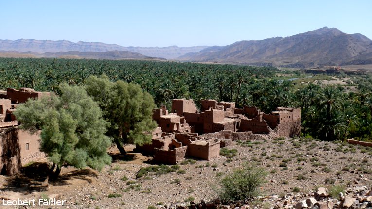 Marokko_2009_2_674
