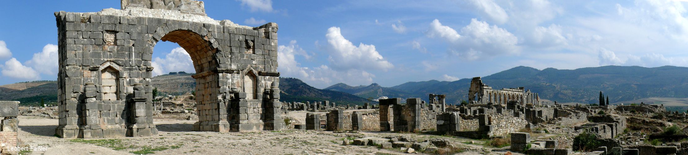 08_Volubilis_Tor