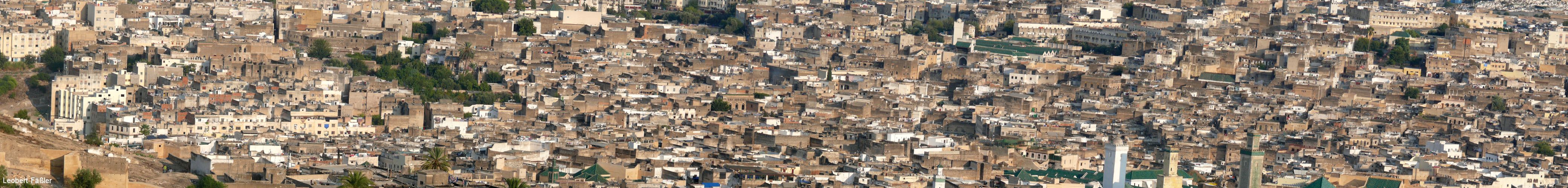 10_Fes_Altstadt_Uebersicht