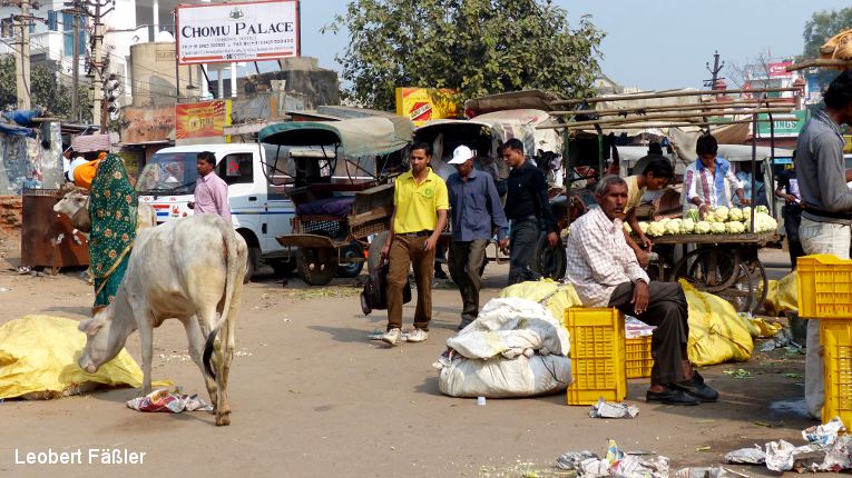 46-Indien2012
