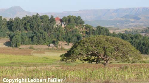 A08_087 Fahrt nach Gondar