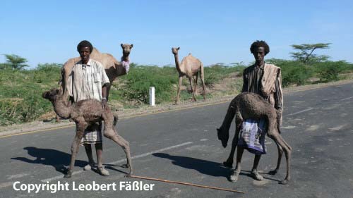 A08_219 Oromo Maenner KlKamele