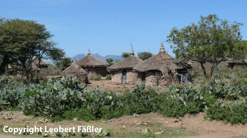 A08_223 OromoDorf