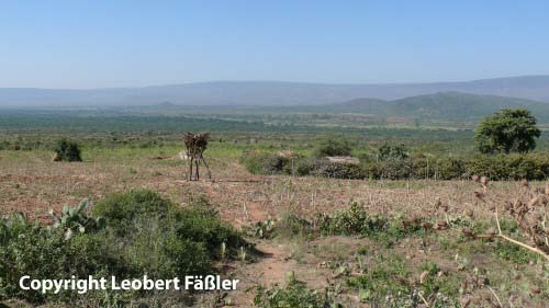 A08_309 Feld Vogelscheuche