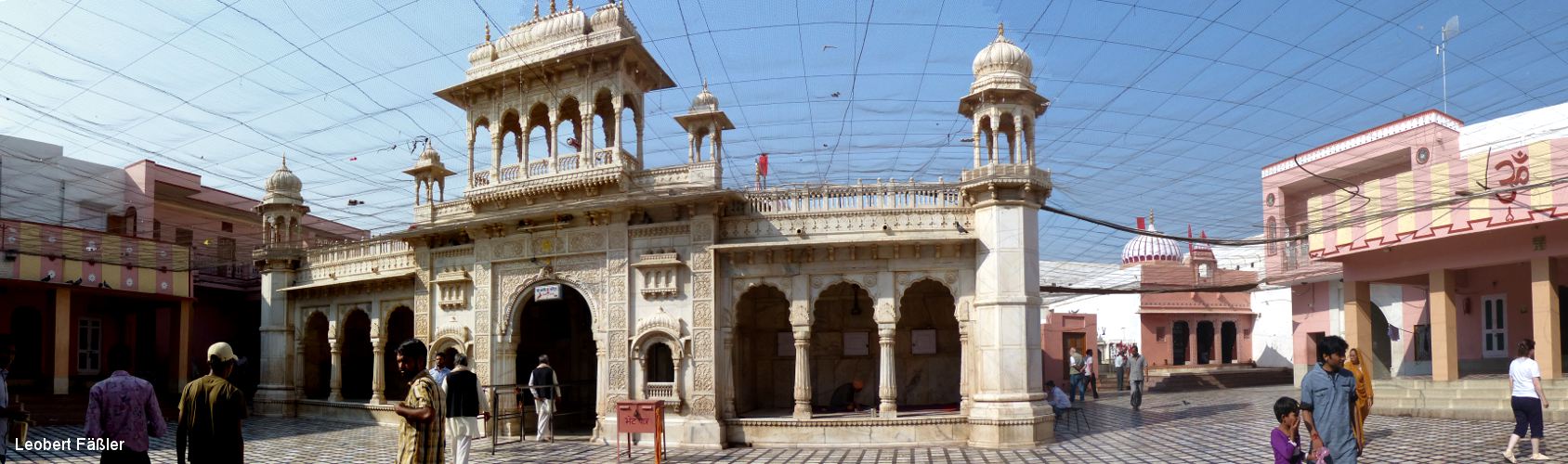 Bikaner_Ratten_Panorama2