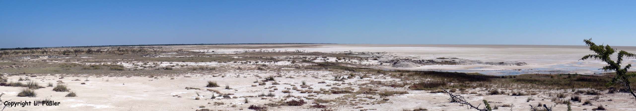 EtoshaPfanne1_Panorama