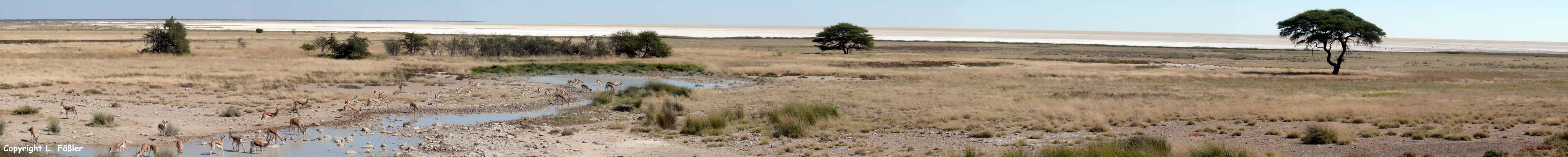 EtoshaPfanne2_Panorama