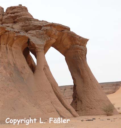 Libyen_2007_1_699