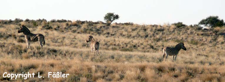 Namibia_034