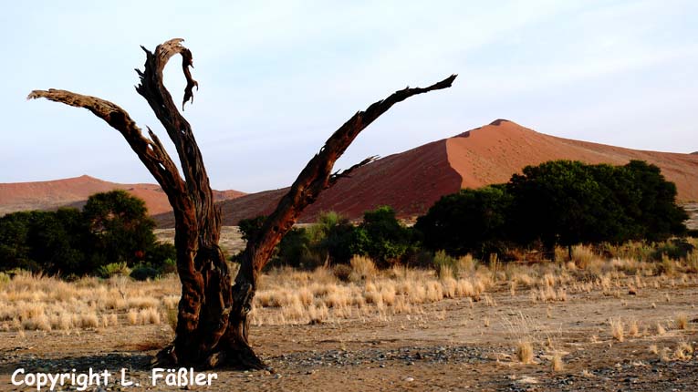Namibia_085