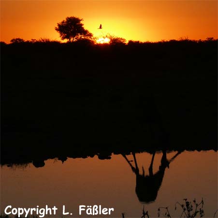 Namibia_271